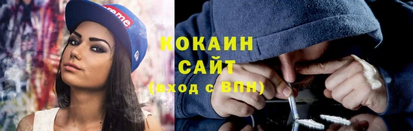 МДПВ Протвино