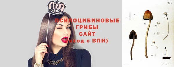 эйфоретик Красавино