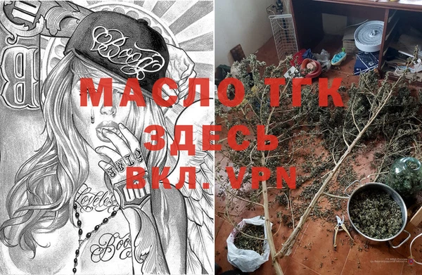 МДПВ Протвино