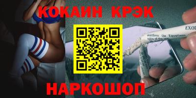 дмт Гатчина