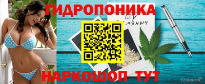гидра Мариинск