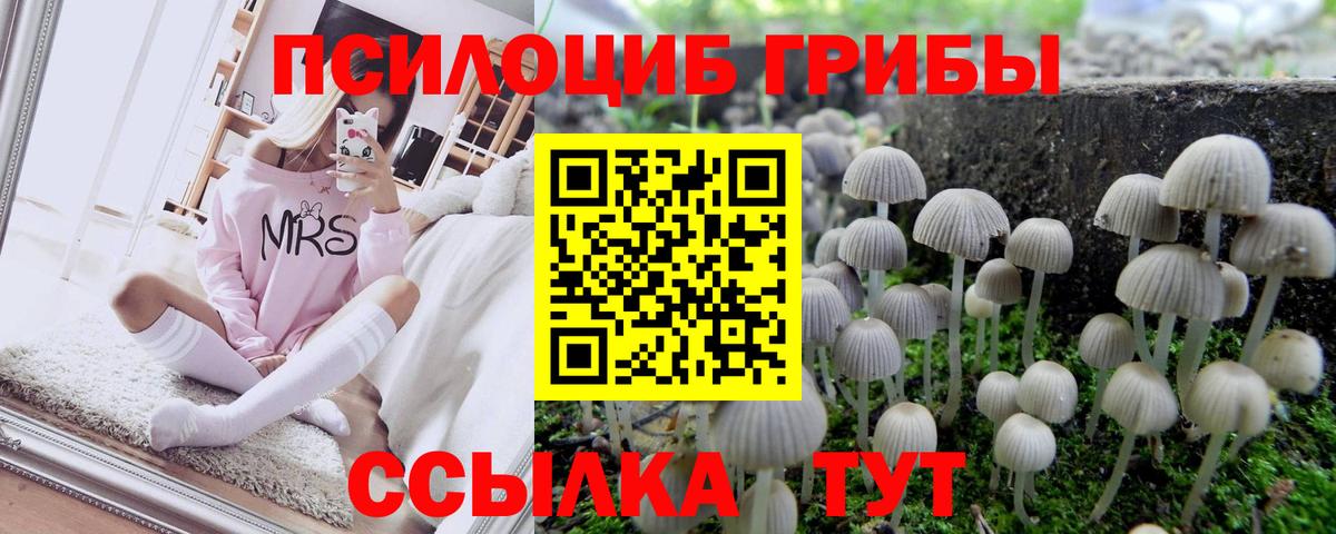 Псилоцибиновые грибы мицелий Абинск