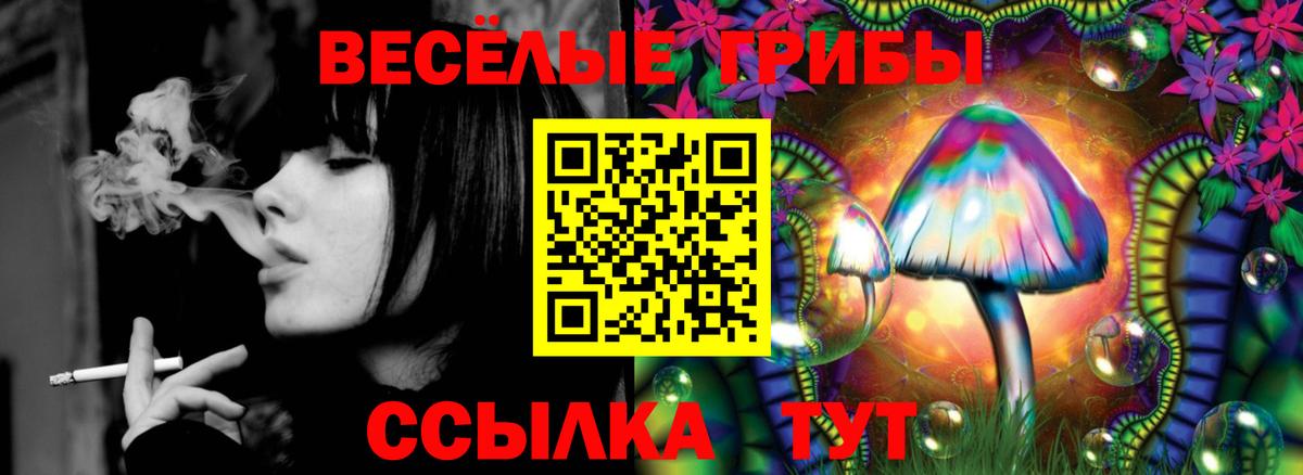 Галлюциногенные грибы Psilocybine cubensis  Абинск  Псилоцибиновые грибы Psilocybine cubensis 