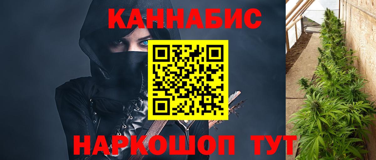 Марихуана планчик  Абинск  Бошки марихуана индика  Бошки Шишки Ganja 