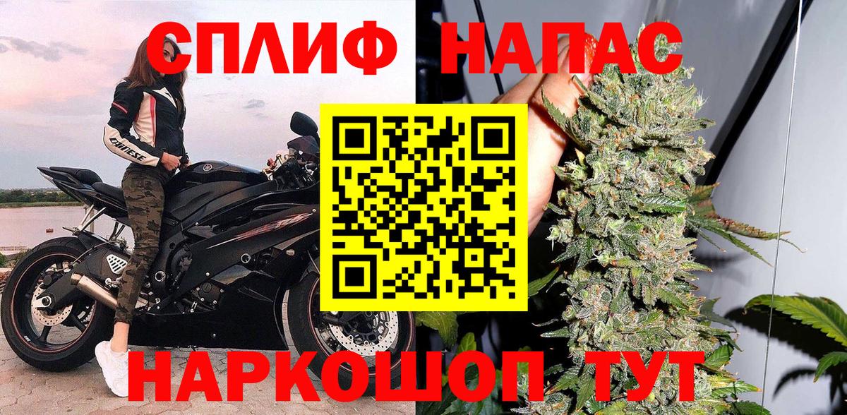 Каннабис индика  Бошки Шишки план  Конопля ГИДРОПОН  Вход с VPN  Бошки Шишки тримм  Абинск 